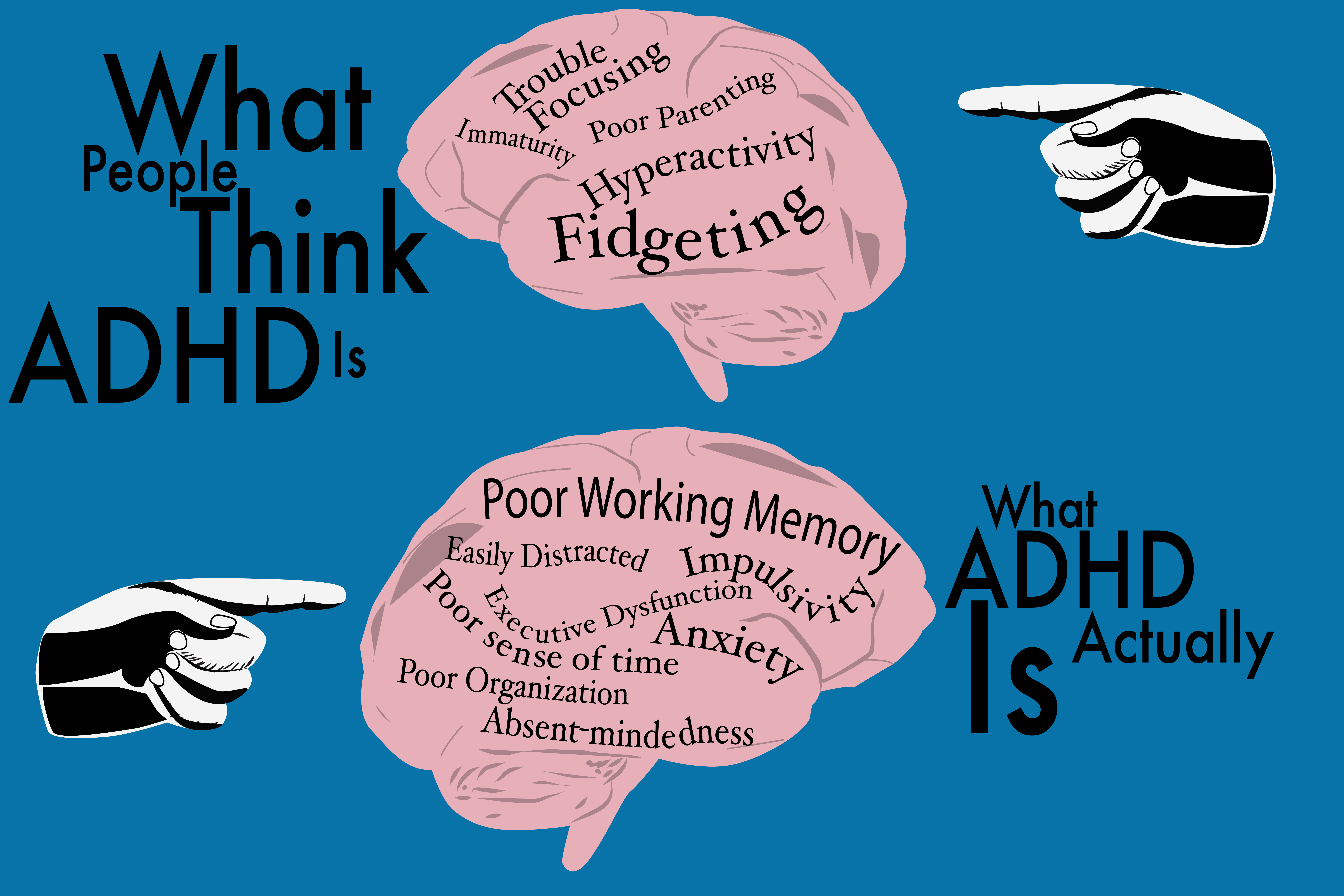 Understanding Executive Function in ADHD Management
